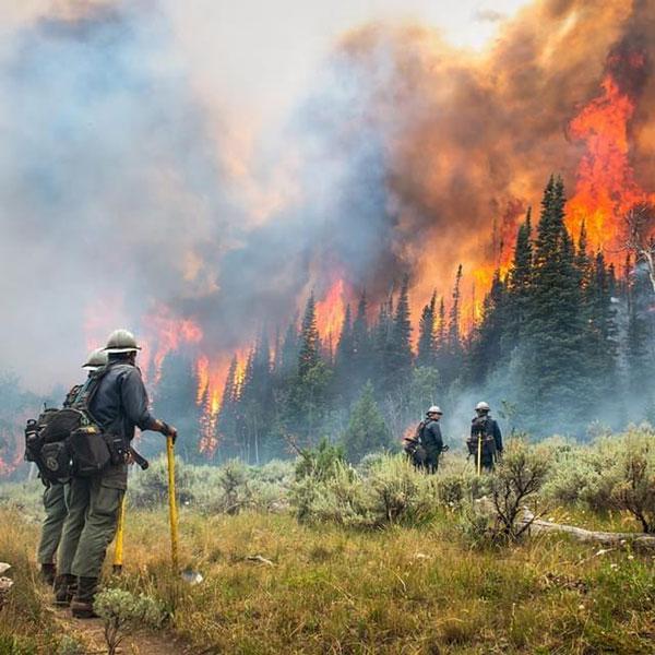 A stock image of firefighters watching a blazing wildfire.